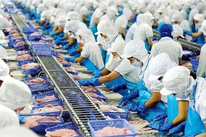 Lý do vì sao xuất khẩu thủy sản Việt Nam vượt 11 tỷ USD