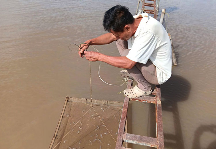 Đổi mới cách nuôi,nâng cao giá trị tôm thẻ chân trắng ở Vĩnh Long